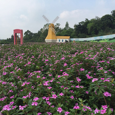 西樵山影视基地-26