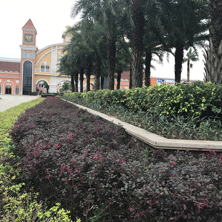 佛山新昌小镇-4