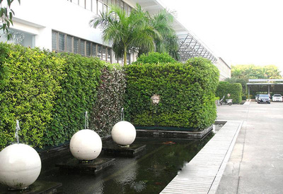 室外庭院植物墙