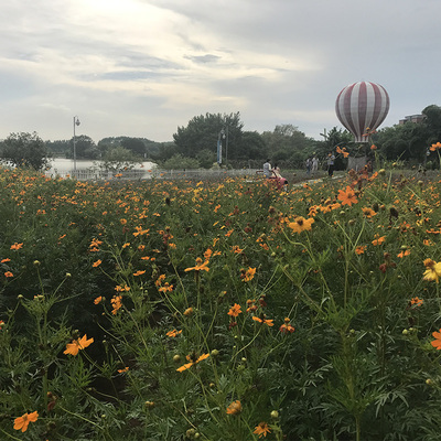 肇庆宋隆小镇-10