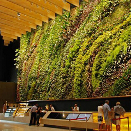 酒店大厅生态植物墙