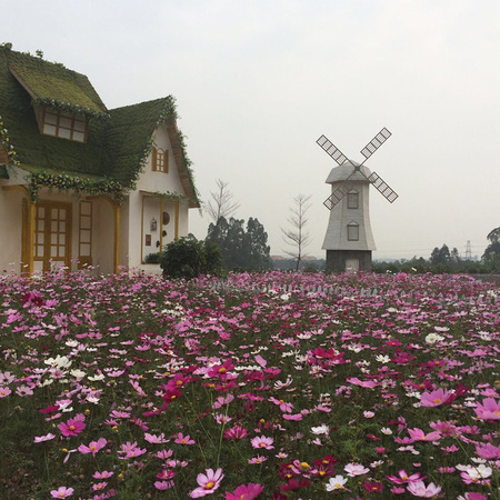 西樵山影视基地-1